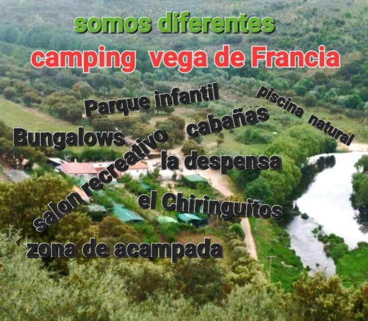 Bungalows, Camping Vega De Francia Sotoserrano Buitenkant foto